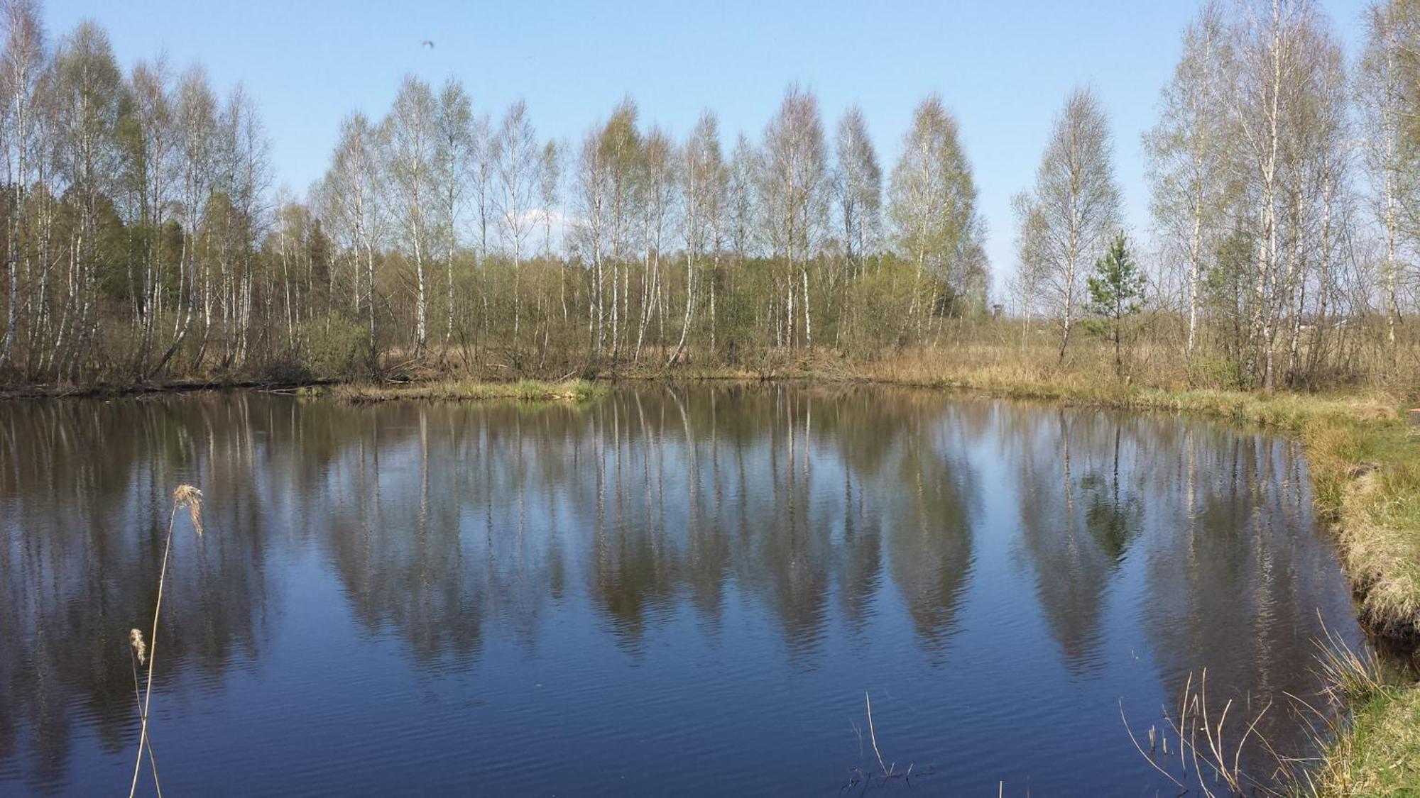 Osrodek Wypoczynkowy Ranczo Okuninka Exterior foto
